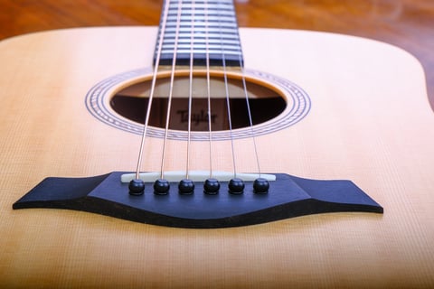 Sitka Spruce Guitar
