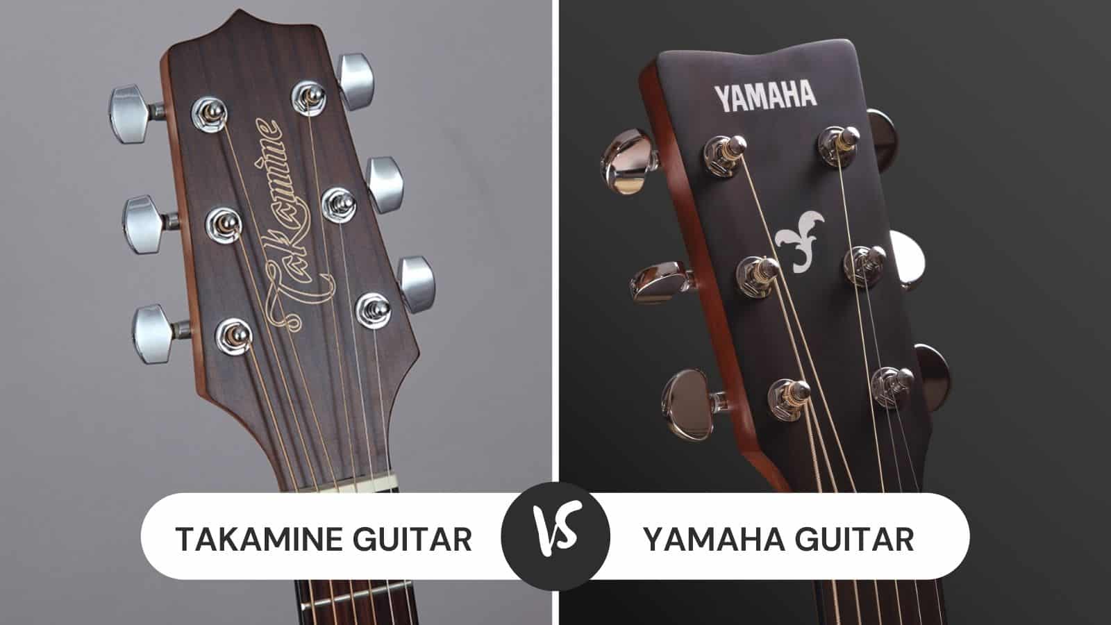 Takamine vs Yamaha Guitar