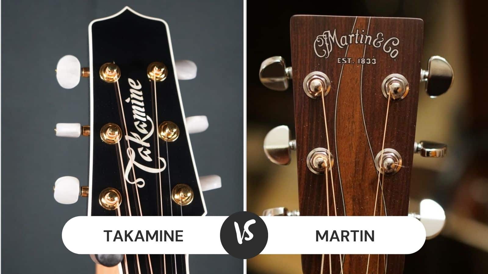 Takamine vs Martin Guitar