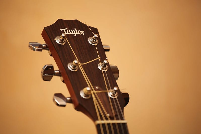 Taylor Guitar Headstock