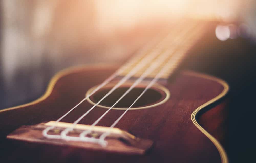 Rosewood vs Walnut Which Guitar Material Is Better? CMUSE