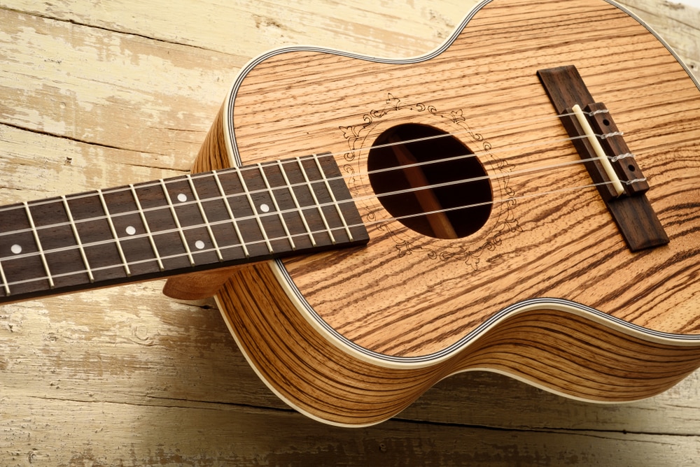 zebrawood guitar