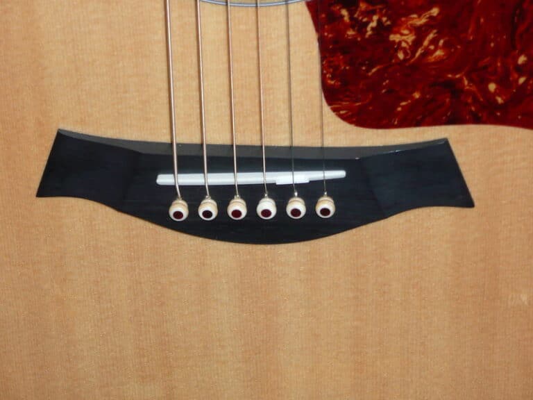 Ebony vs Bone Bridge Pins What's The Difference CMUSE