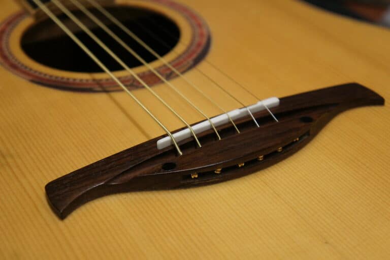 Tusq vs Bone Saddle What's The Difference CMUSE