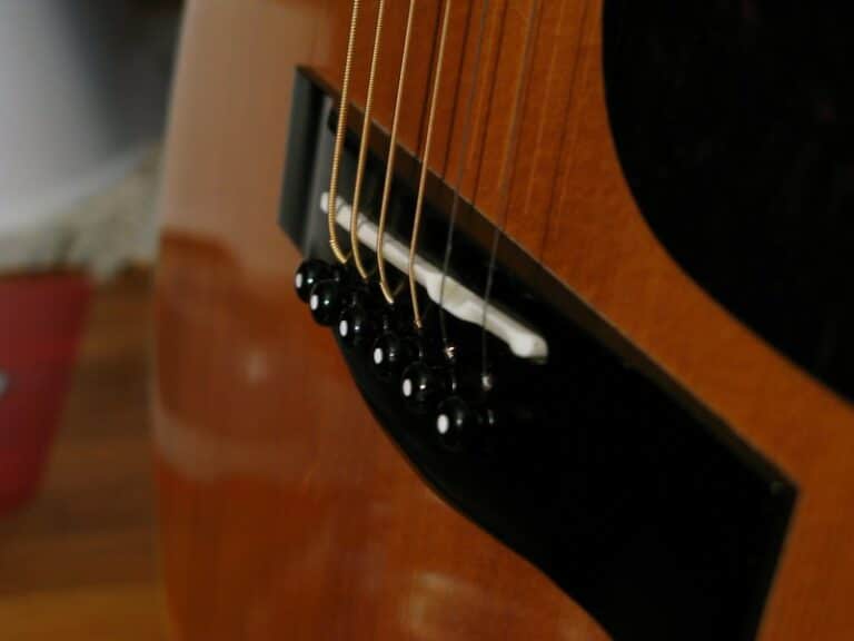 Tusq vs Bone Saddle What's The Difference CMUSE