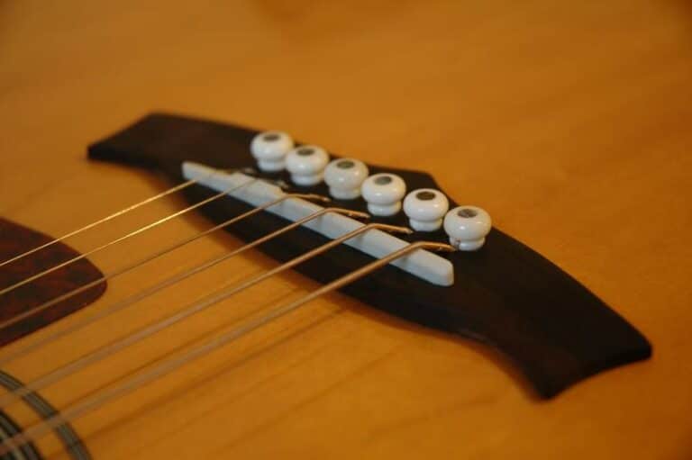 Tusq vs Bone Saddle What's The Difference CMUSE