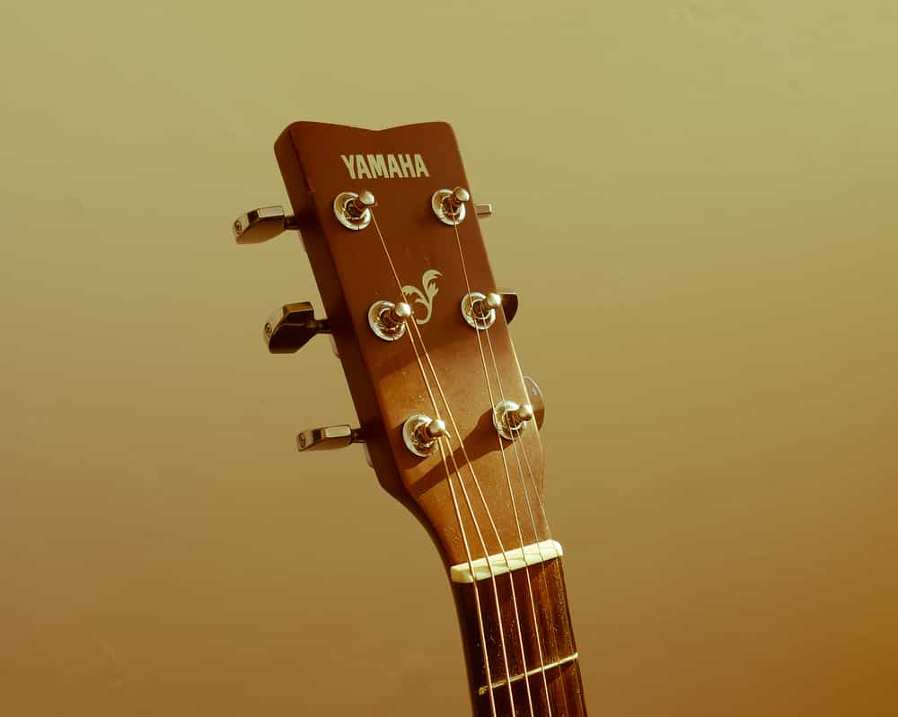 yamaha fg-300