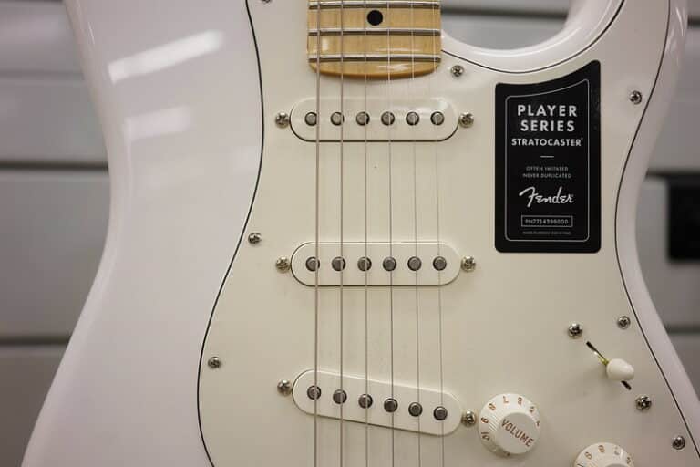 Parchment vs White Pickguard Which Is Better? CMUSE