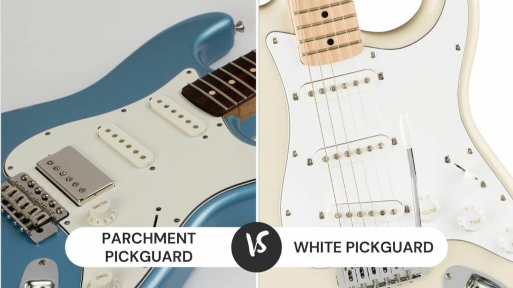 Parchment vs White Pickguard Which Is Better? CMUSE