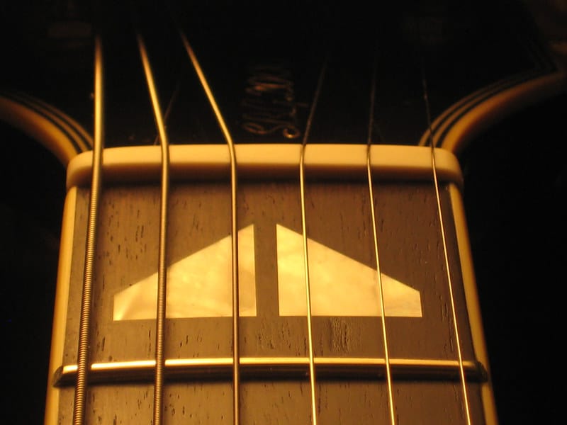 TUSQ Nut on guitar