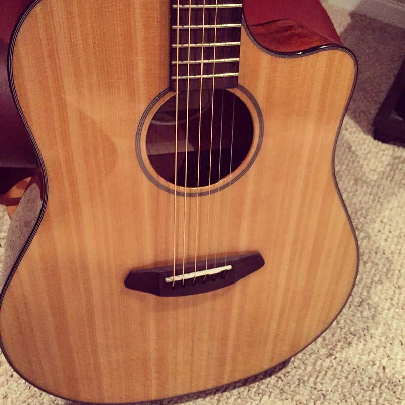 breedlove discovery design