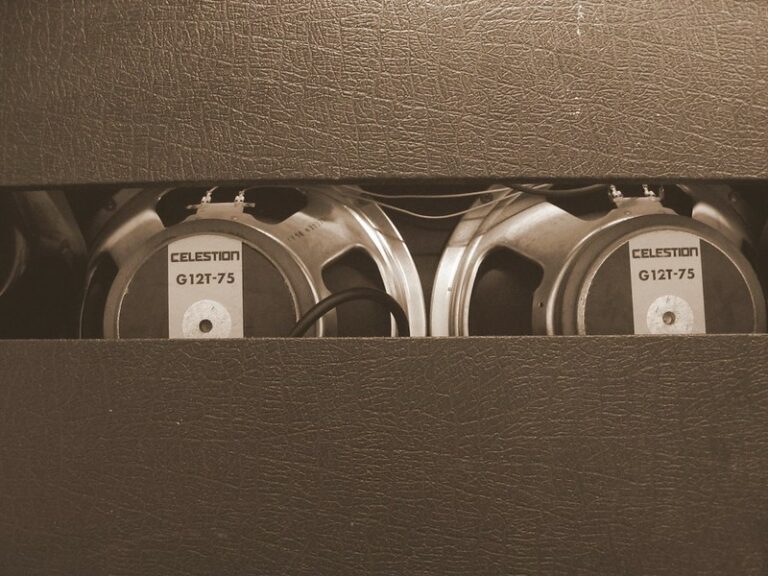 Celestion vs Jensen What's The Difference CMUSE