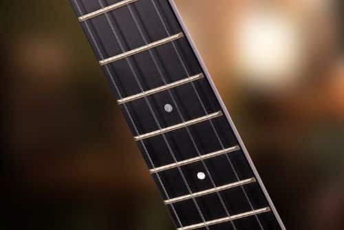 Richlite Fretboard Guitar