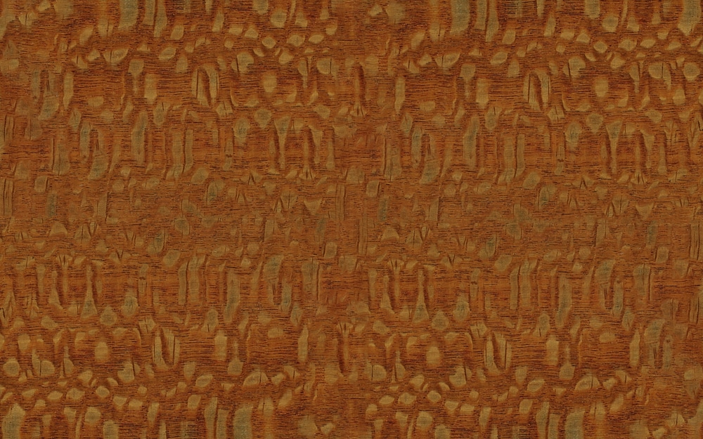 Leopardwood
