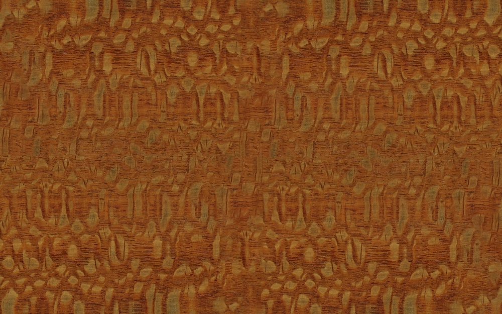 Leopardwood