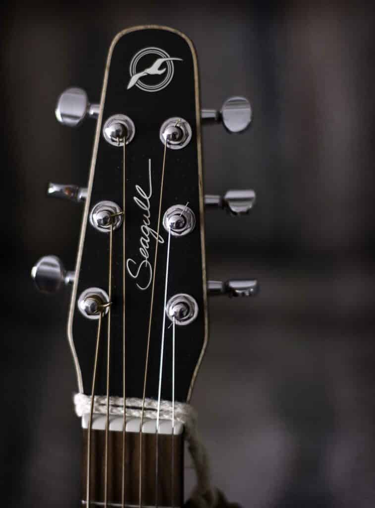 seagull guitar headstock