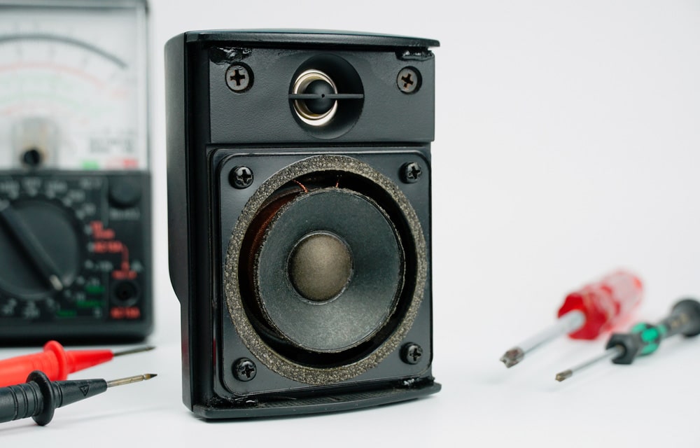 Damaged speaker edges that need to be repaired