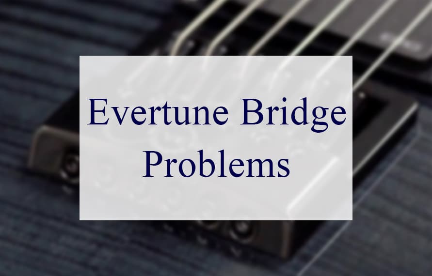 Evertune Bridge Problems