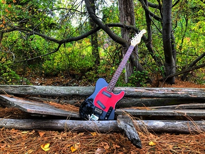 G&L Guitar