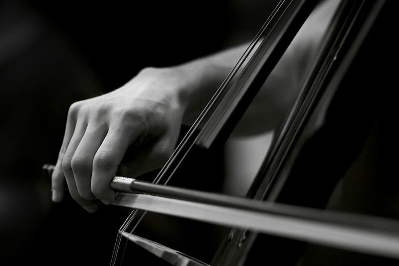 Cellist