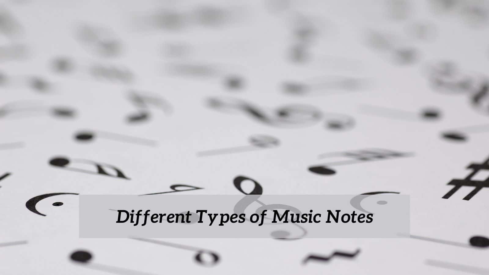 Different Types Of Music Notes
