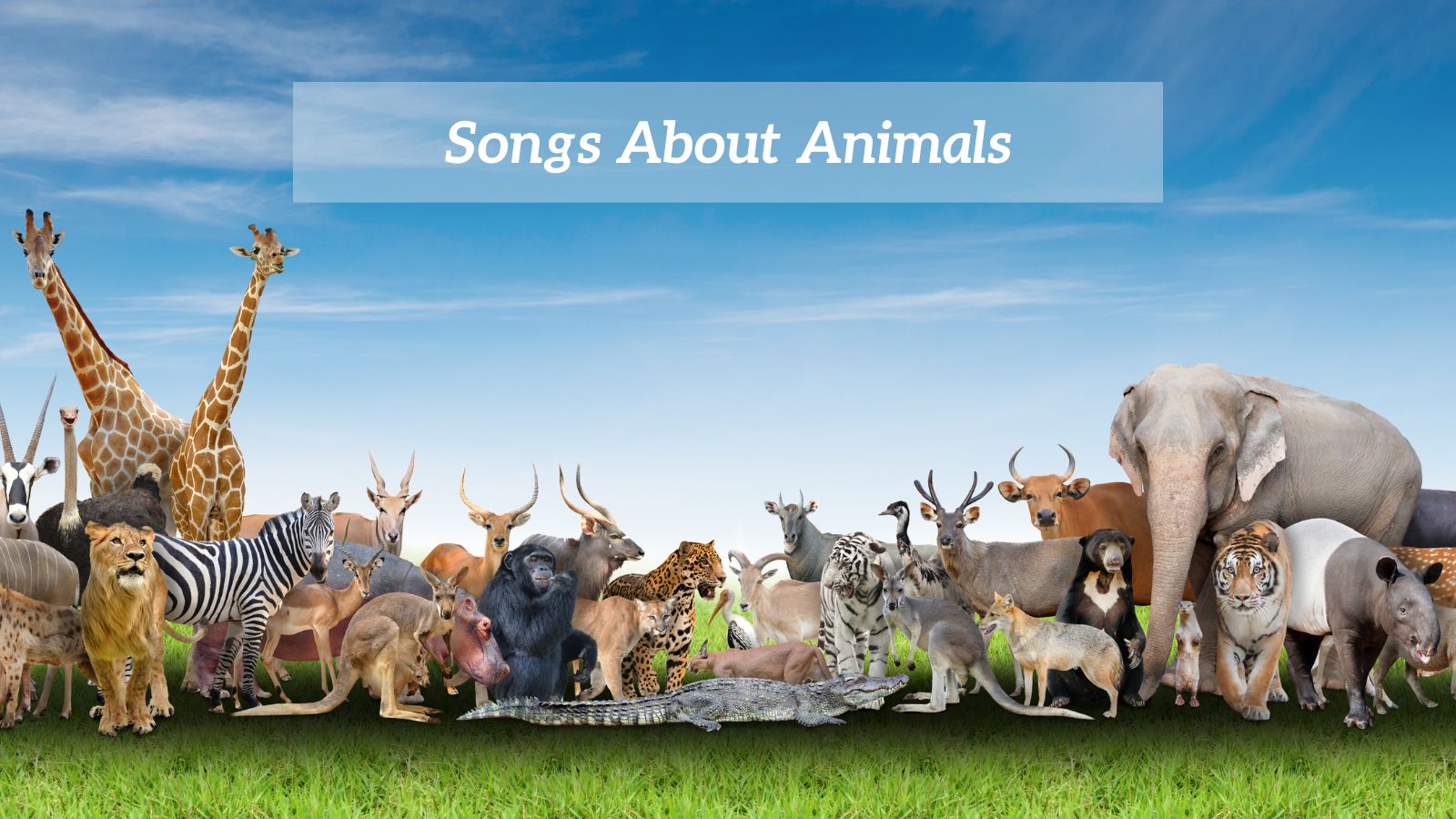 Songs About Animals