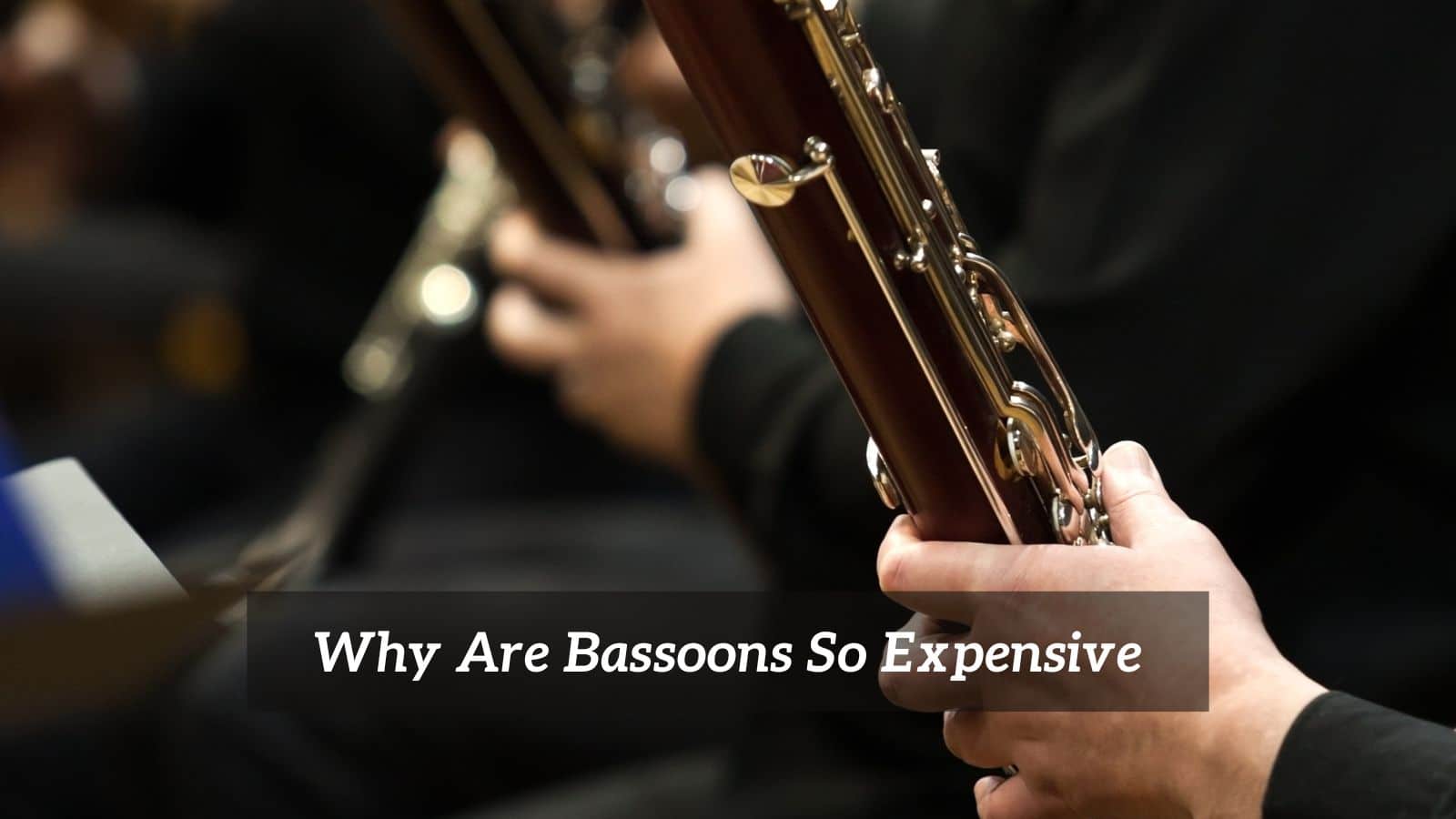 Why Are Bassoons So Expensive