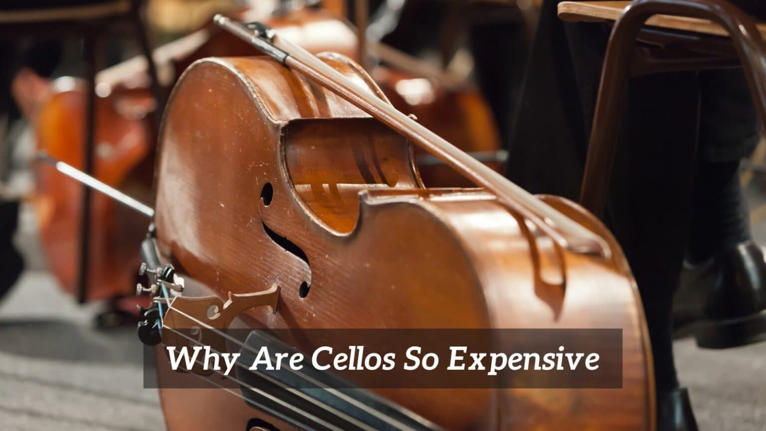 Why Are Cellos So Expensive? CMUSE