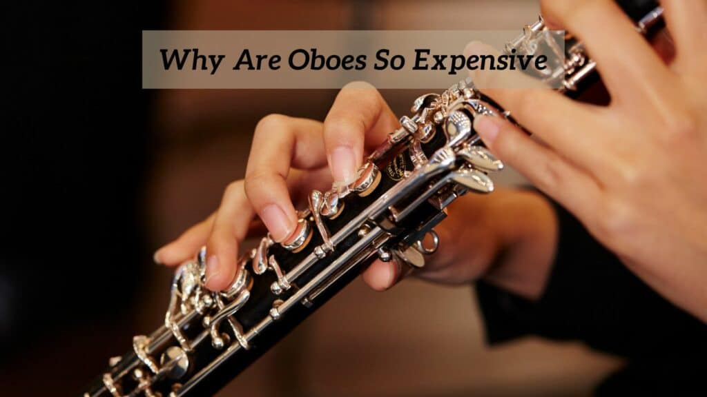 Why Are Oboes So Expensive? CMUSE