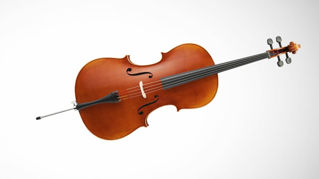 Why Are Cellos So Expensive? CMUSE