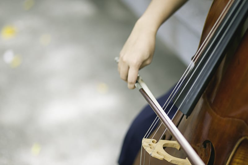 Play Cello