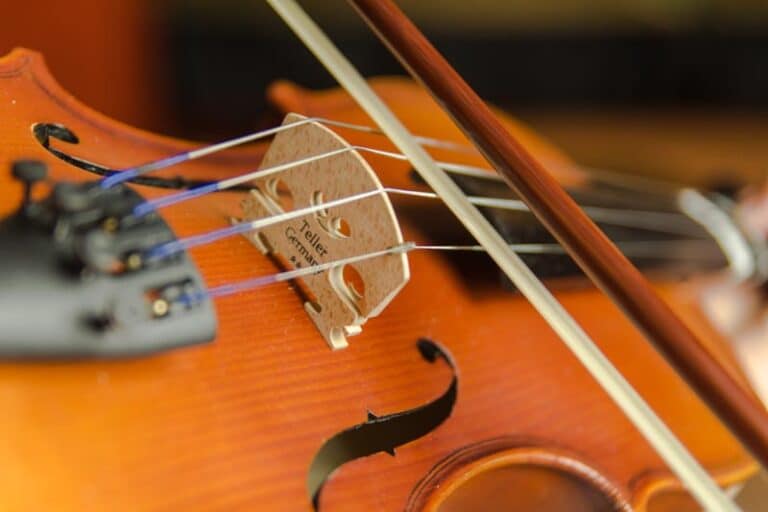 Violin Bow vs Cello Bow What Are The Differences? CMUSE