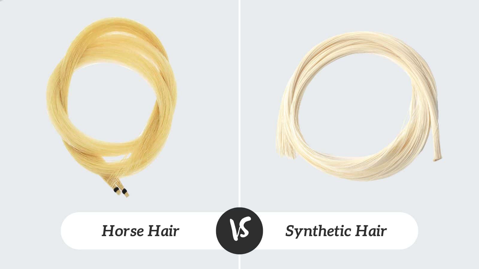 Violin Bow: Horse Hair vs Synthetic Hair