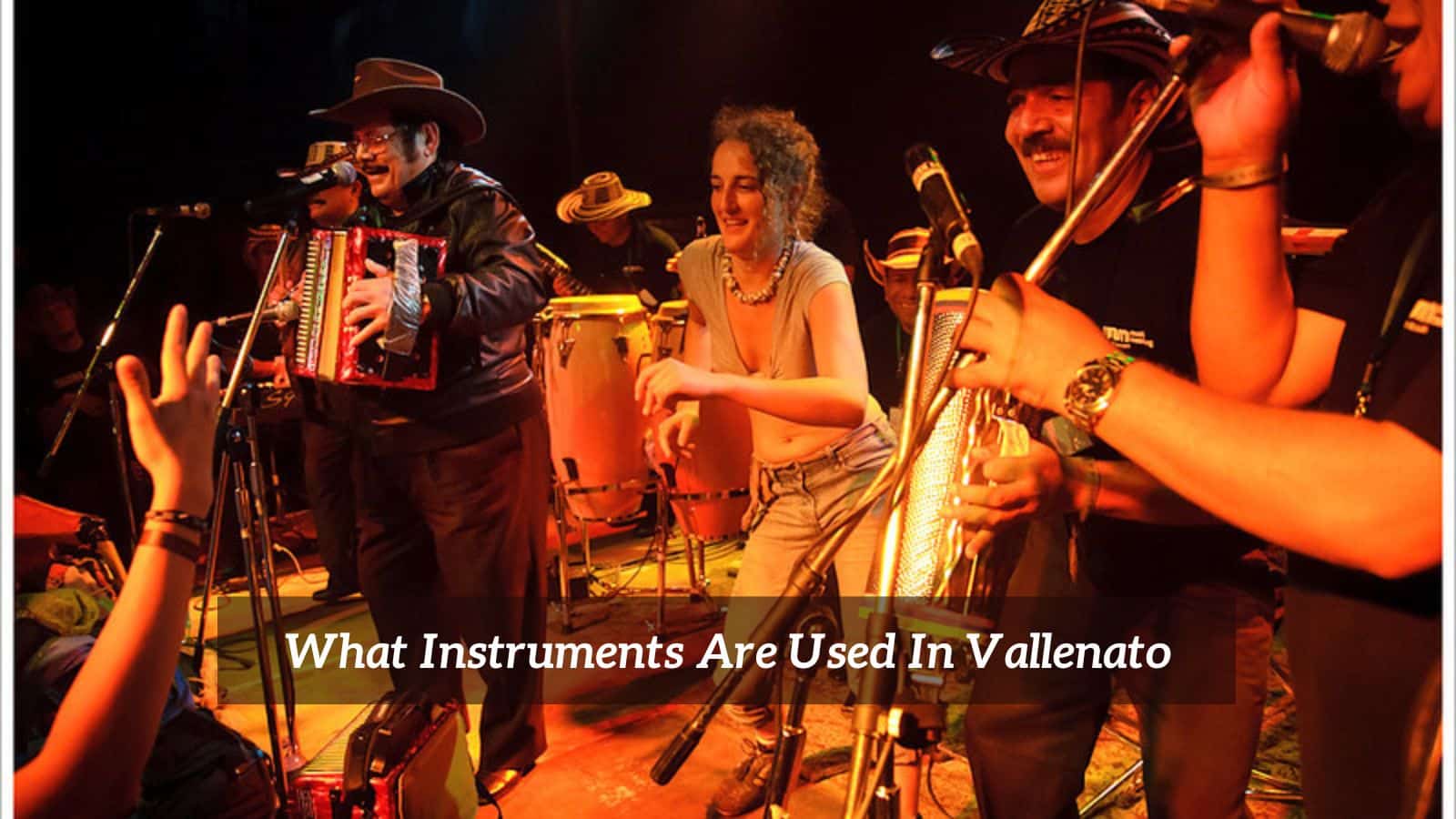 What Instruments Are Used In Vallenato