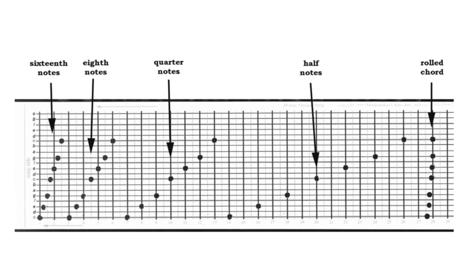 Different rhythmic placements of punched holes on the strip 