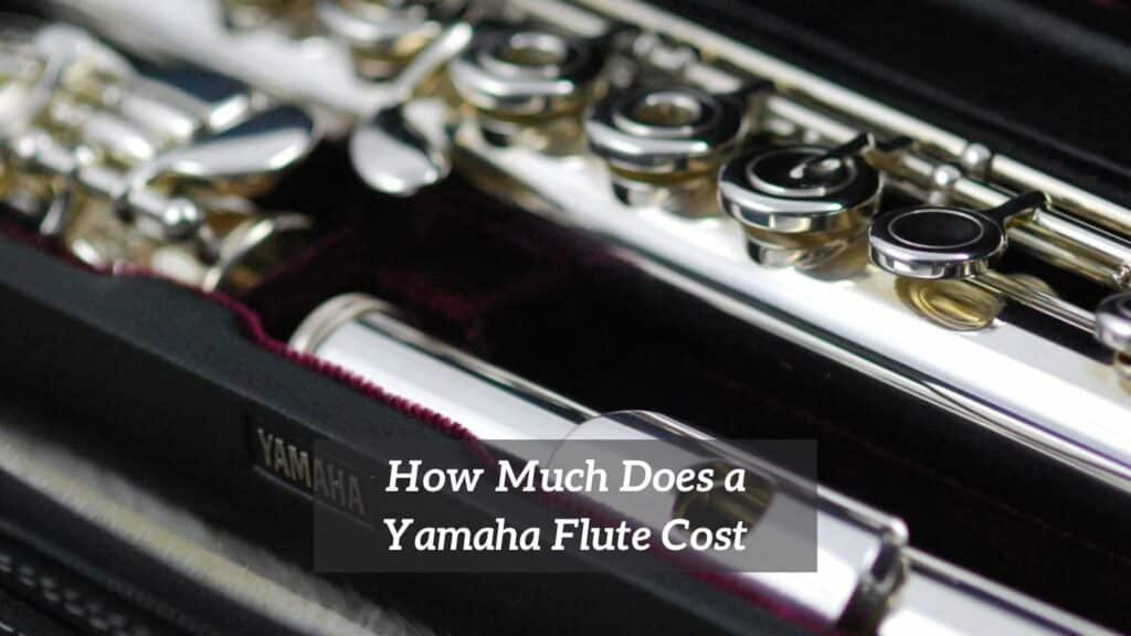 How Much Does a Yamaha Flute Cost? CMUSE