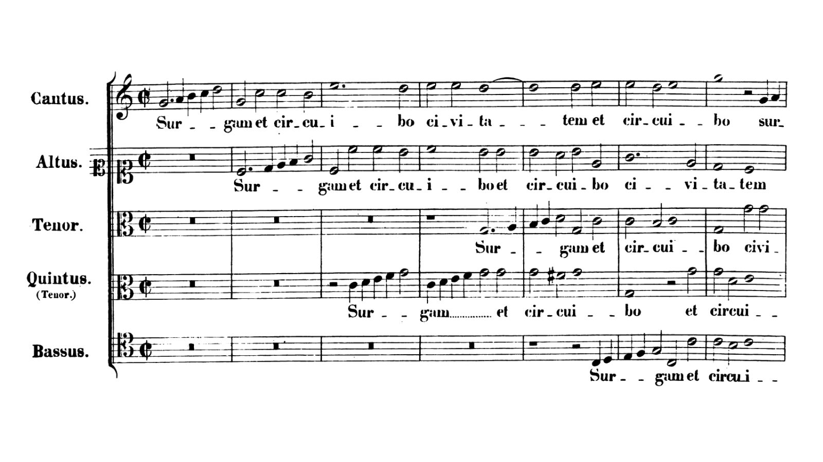 Palestrina, Surgam et circuibo civitatem, opening (source) 