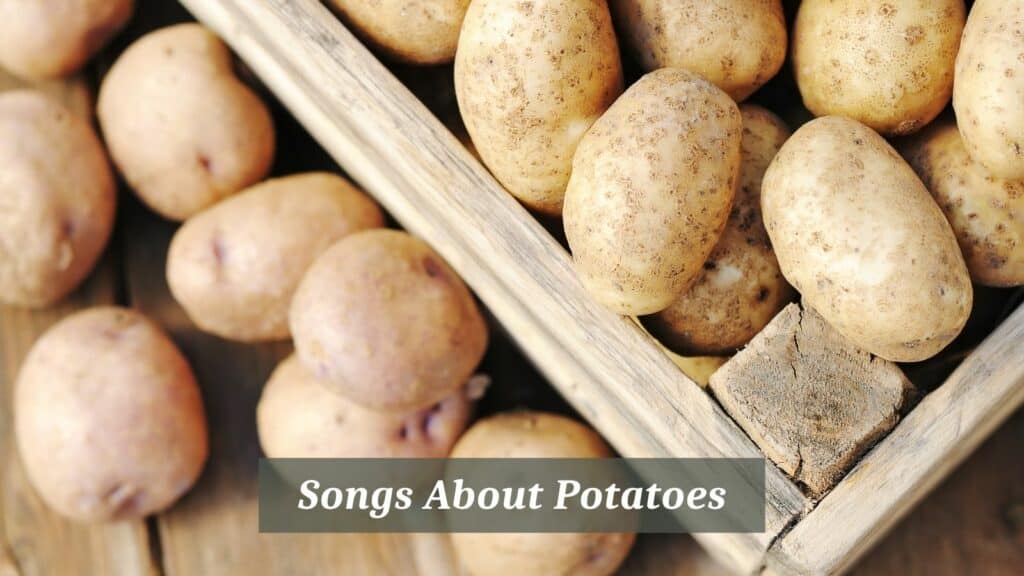 8 Pieces Of Songs About Potatoes CMUSE