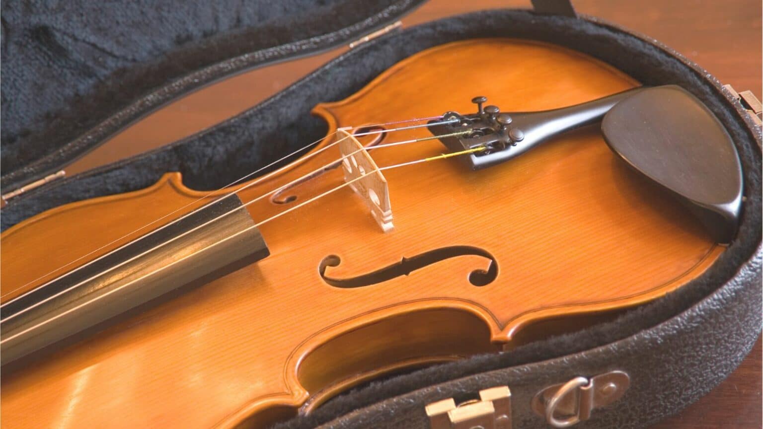 Violin Finger Calluses Myths And Truths CMUSE
