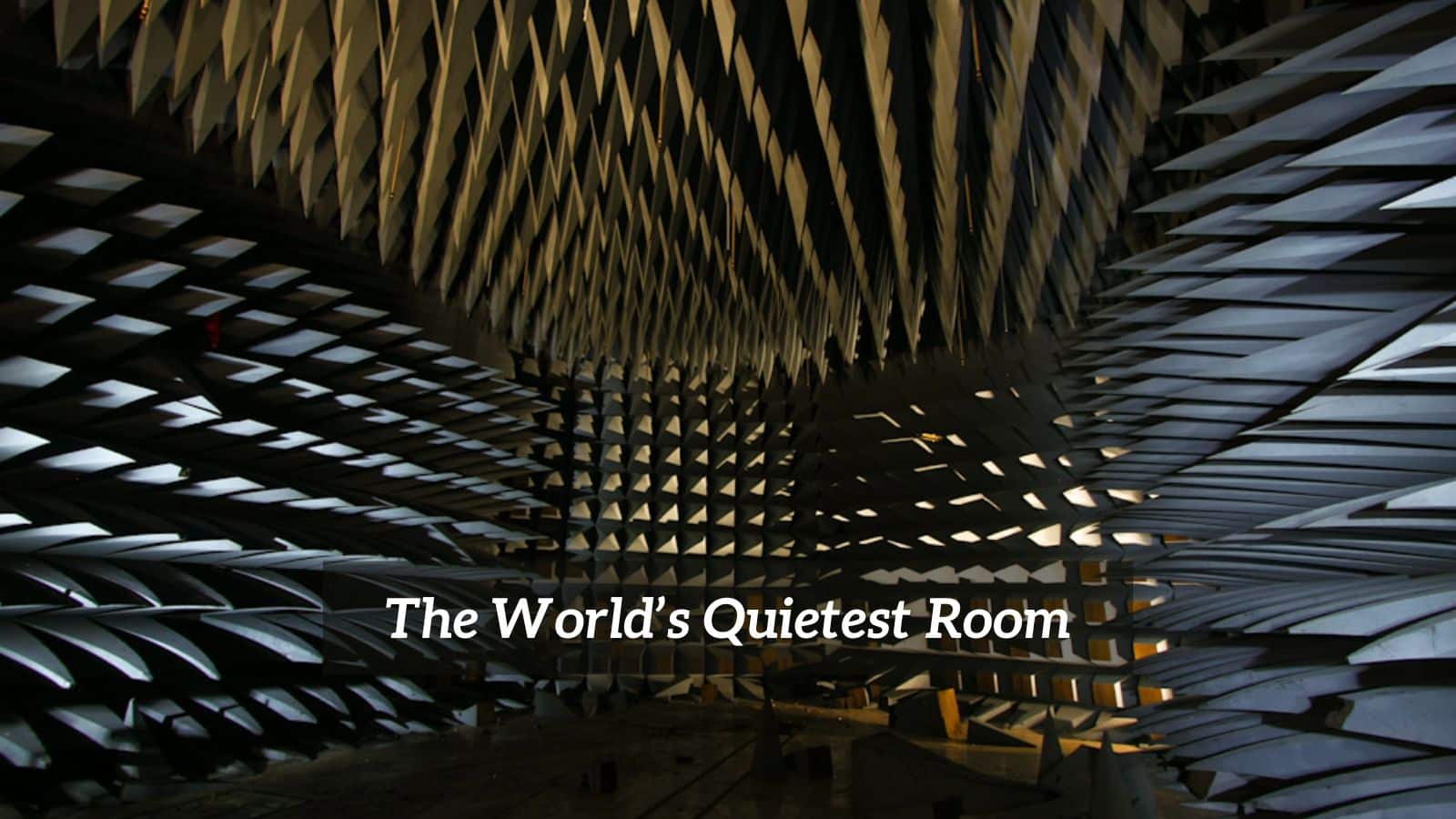 The World’s Quietest Room