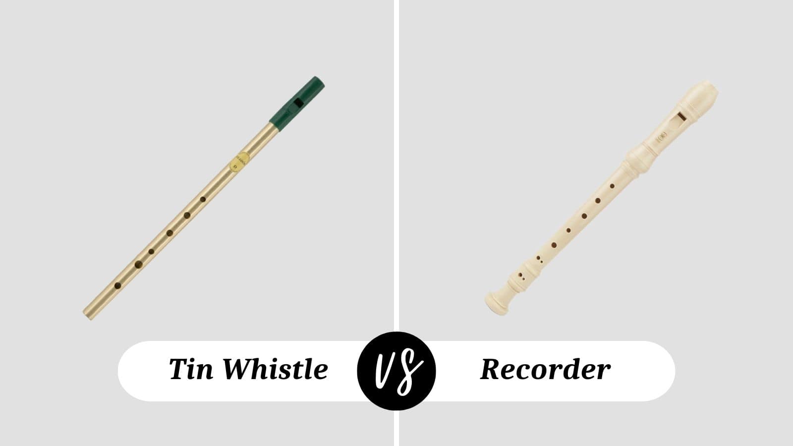 Tin Whistle vs Recorder