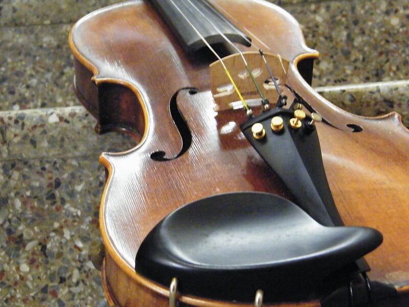 violin chin rest