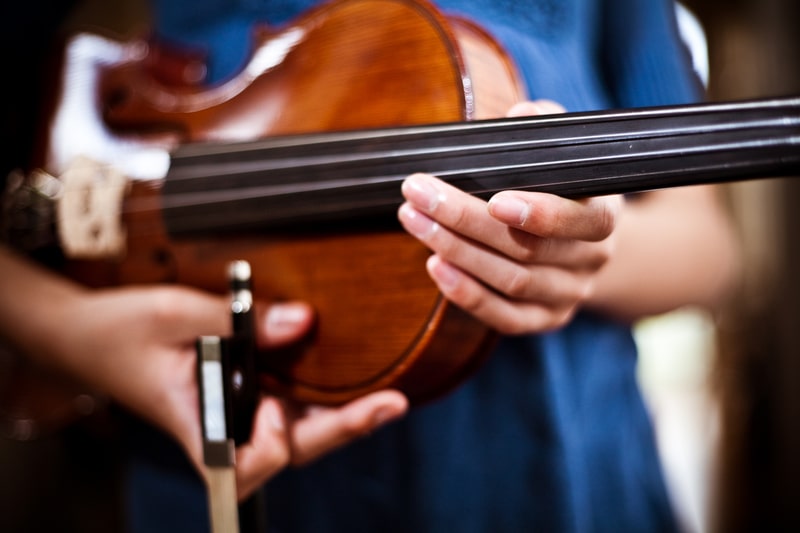 Violin Fingerboard