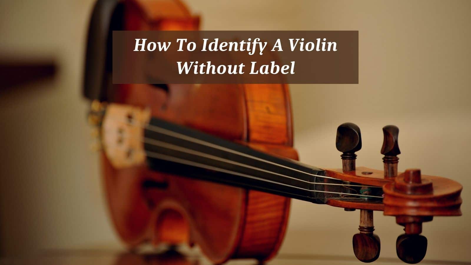How To Identify A Violin Without Label