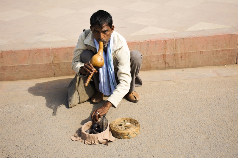 Snake Charming