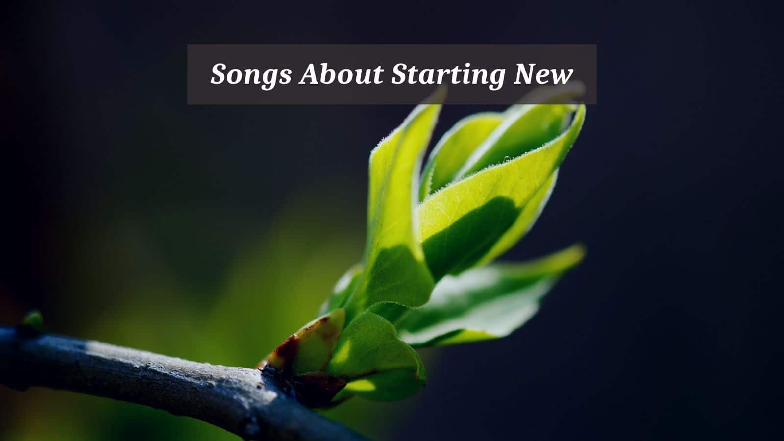 Songs About Starting New
