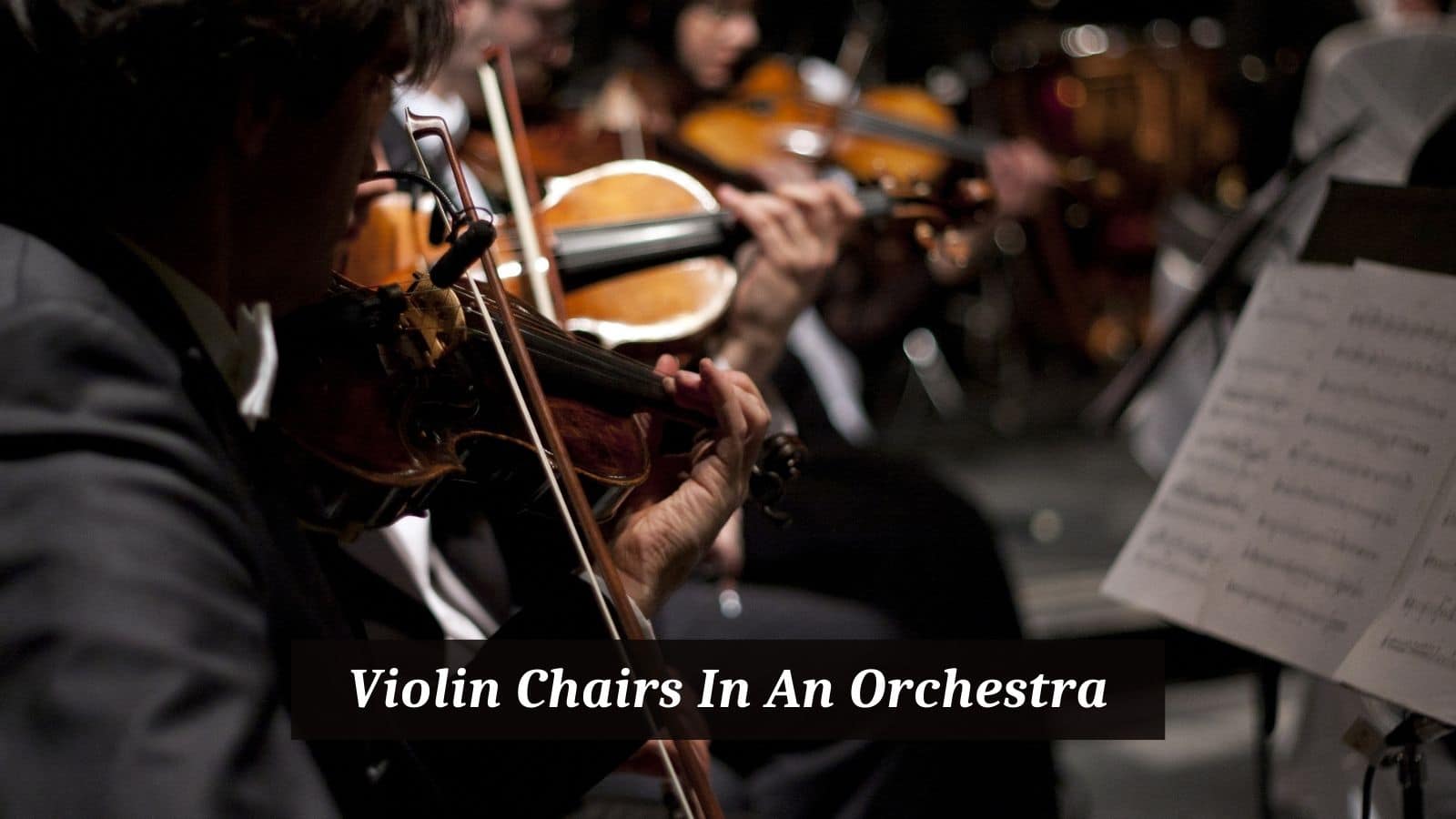 Violin Chairs In An Orchestra