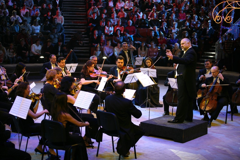 Violin Section In Orchestra