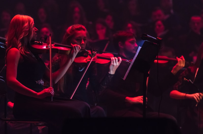 Violinist In Orchestra