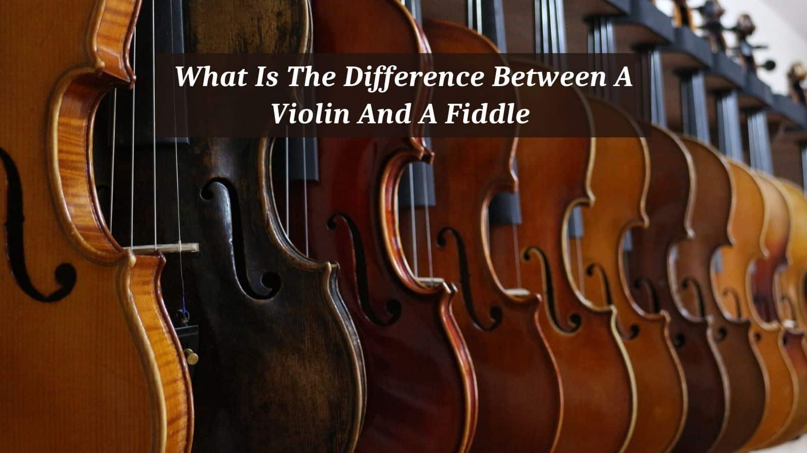 What Is The Difference Between A Violin And A Fiddle